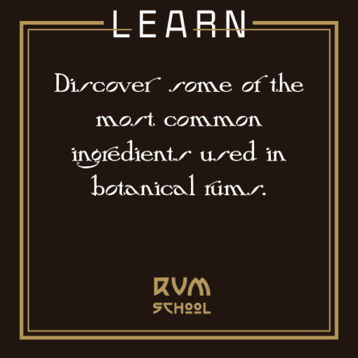 Learn to make rum
