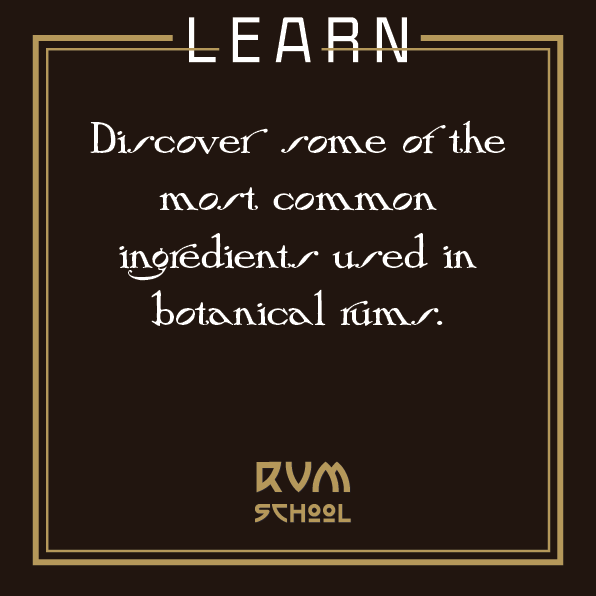 Learn to make rum